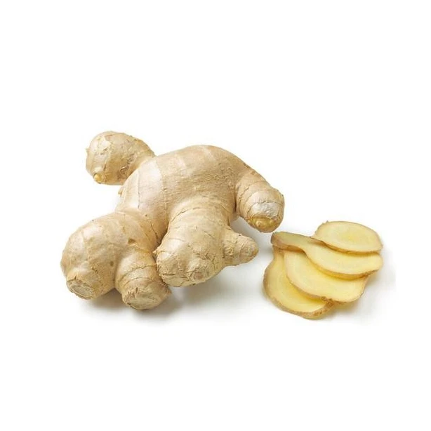 
Factory Supply Wholesale Organic Fresh Ginger In Bulk 