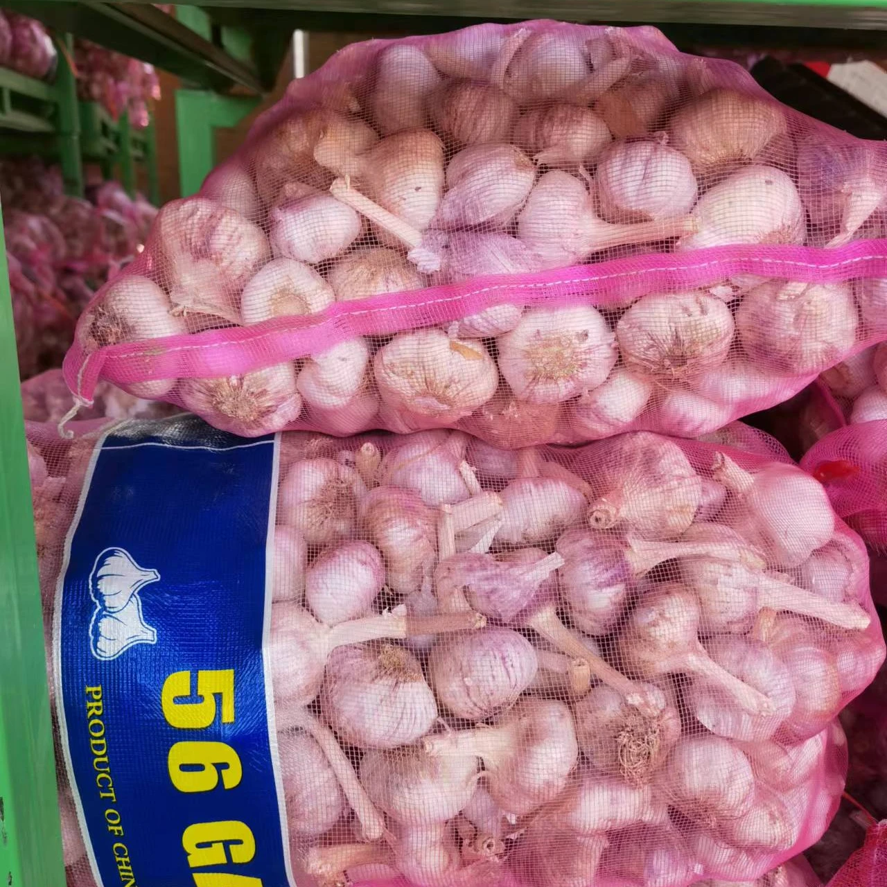 Garlic Price in China Fresh Normal White Style China Gap  Weight Origin Type Size Product Place Model HACCP SHN
