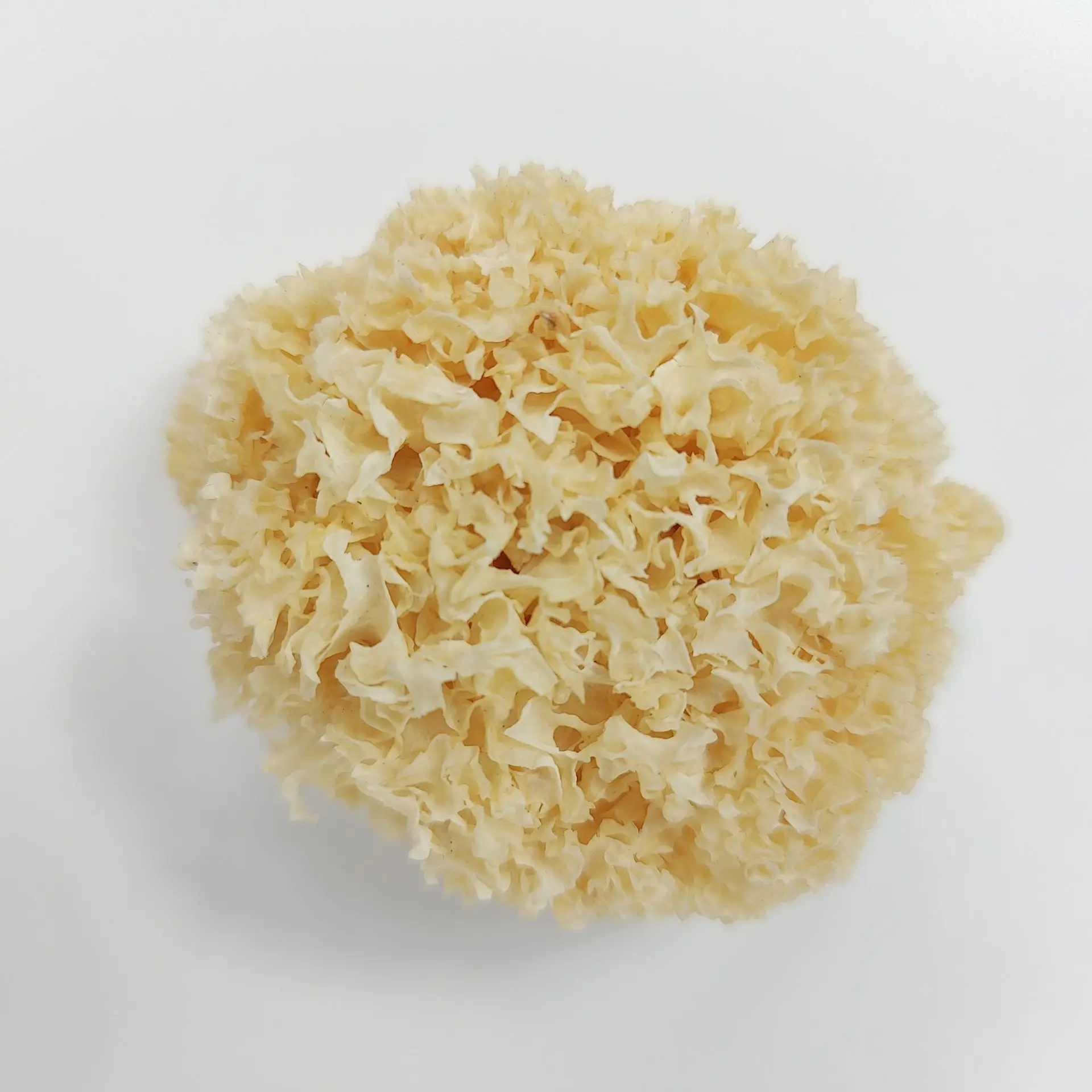Wholesale Snow Fungus Tremella Mushrooms Dried Tremella Snow Fungus