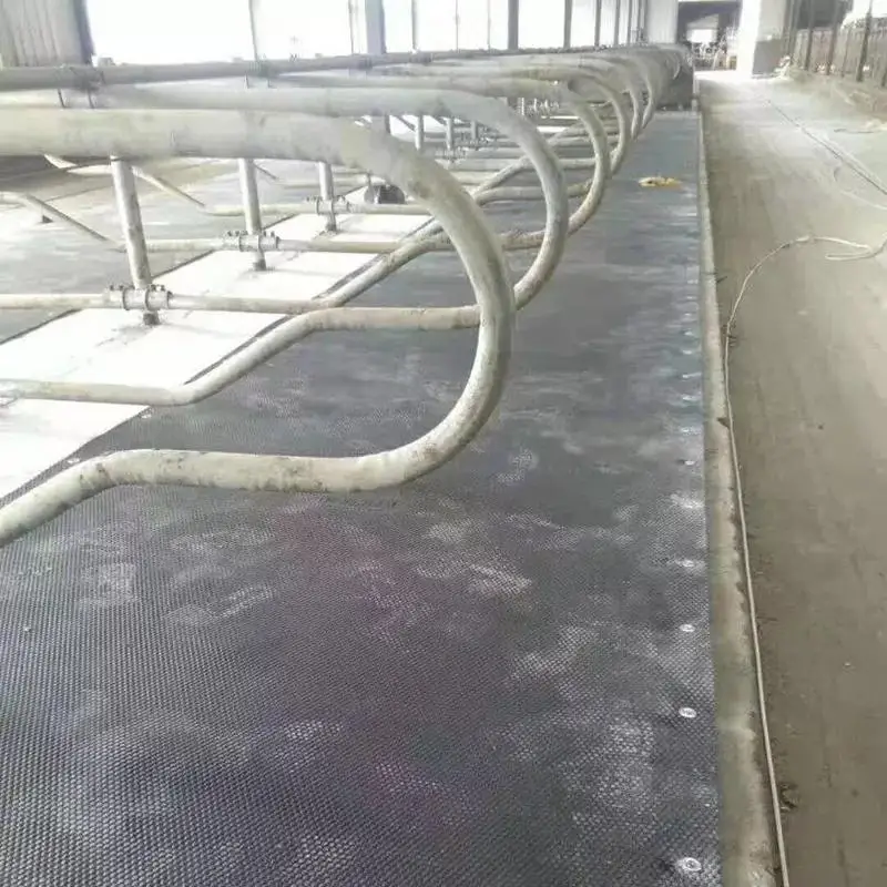 Резиновый матрас для крупного рогатого скота/Коврики сна/молочный коврик коровы