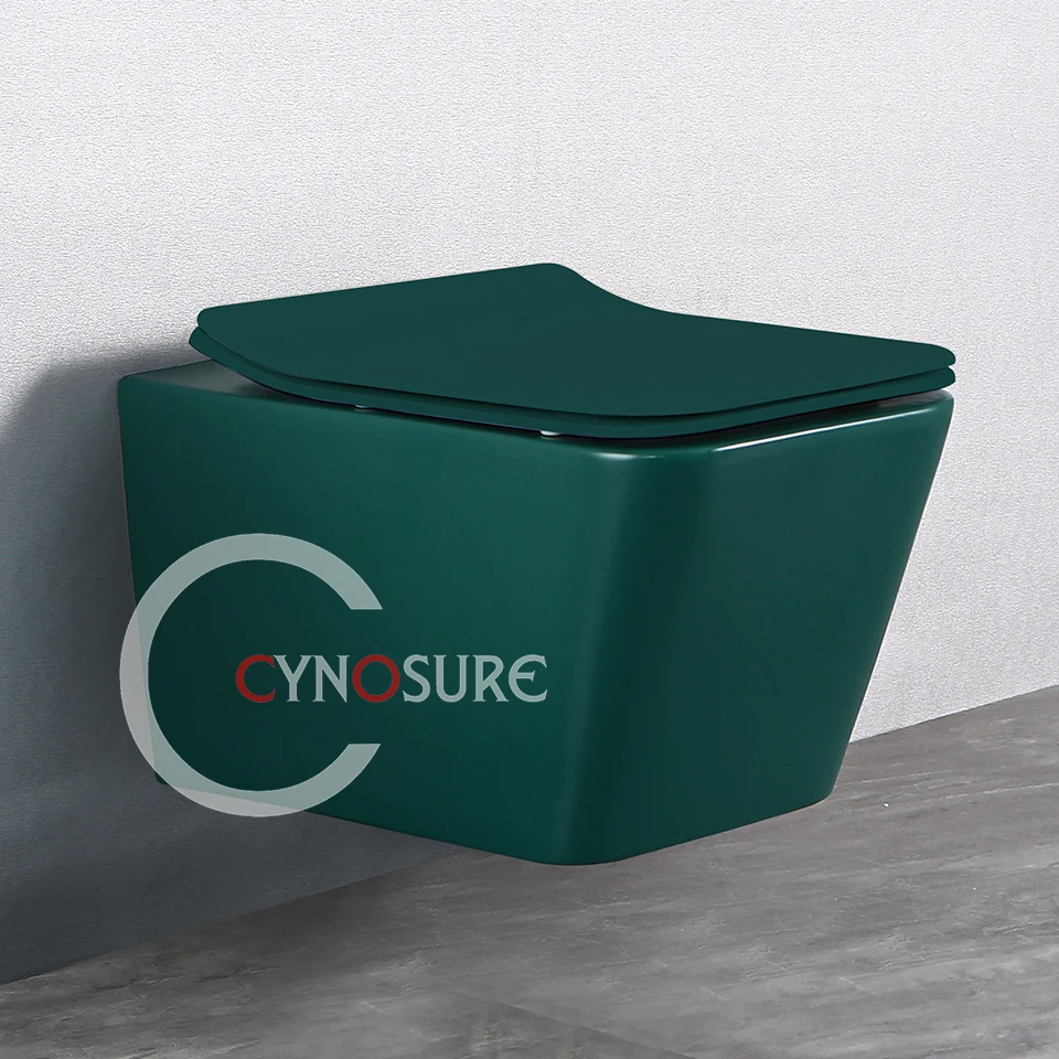 Wall Hang Toilet Installation Matte Dark Green Rimless Back To Wall Toilets Bathroom Ceramic Toilet Bowl
