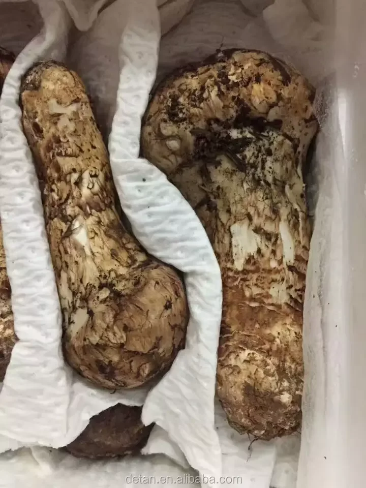 Экспорт Detan Чистые дикие съедобные грибы и замороженные