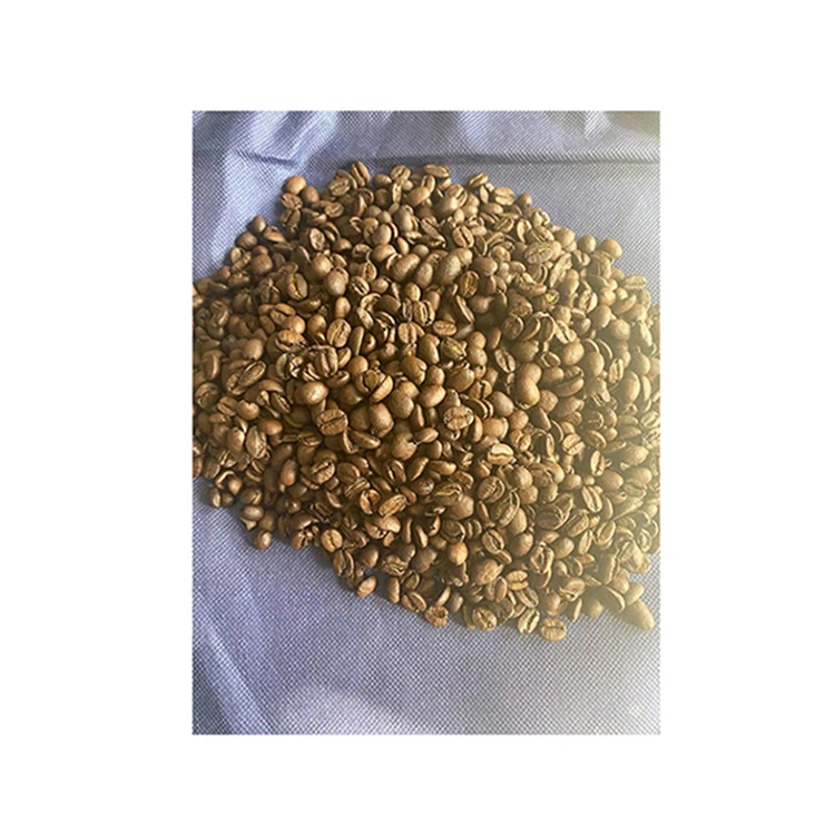 
Chinese sale wholesale prices Vietnam Robusta Coffee 15-17mu Raw Coffee Bean 