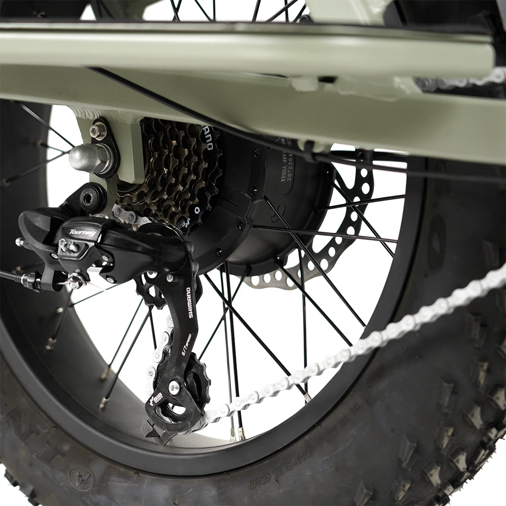 Aimos high quality Long Tail Electric Cargo Bike 36v 250w Double Lithium Battery Delivery Electric Bike