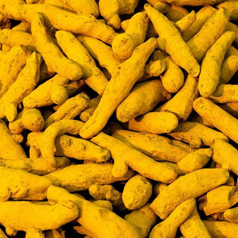 Manufacturer China AD Block Raw Single Herbs & Spices Black Turmeric Pricedried Black Tumeric Dried Parsley Cool and Dry Place