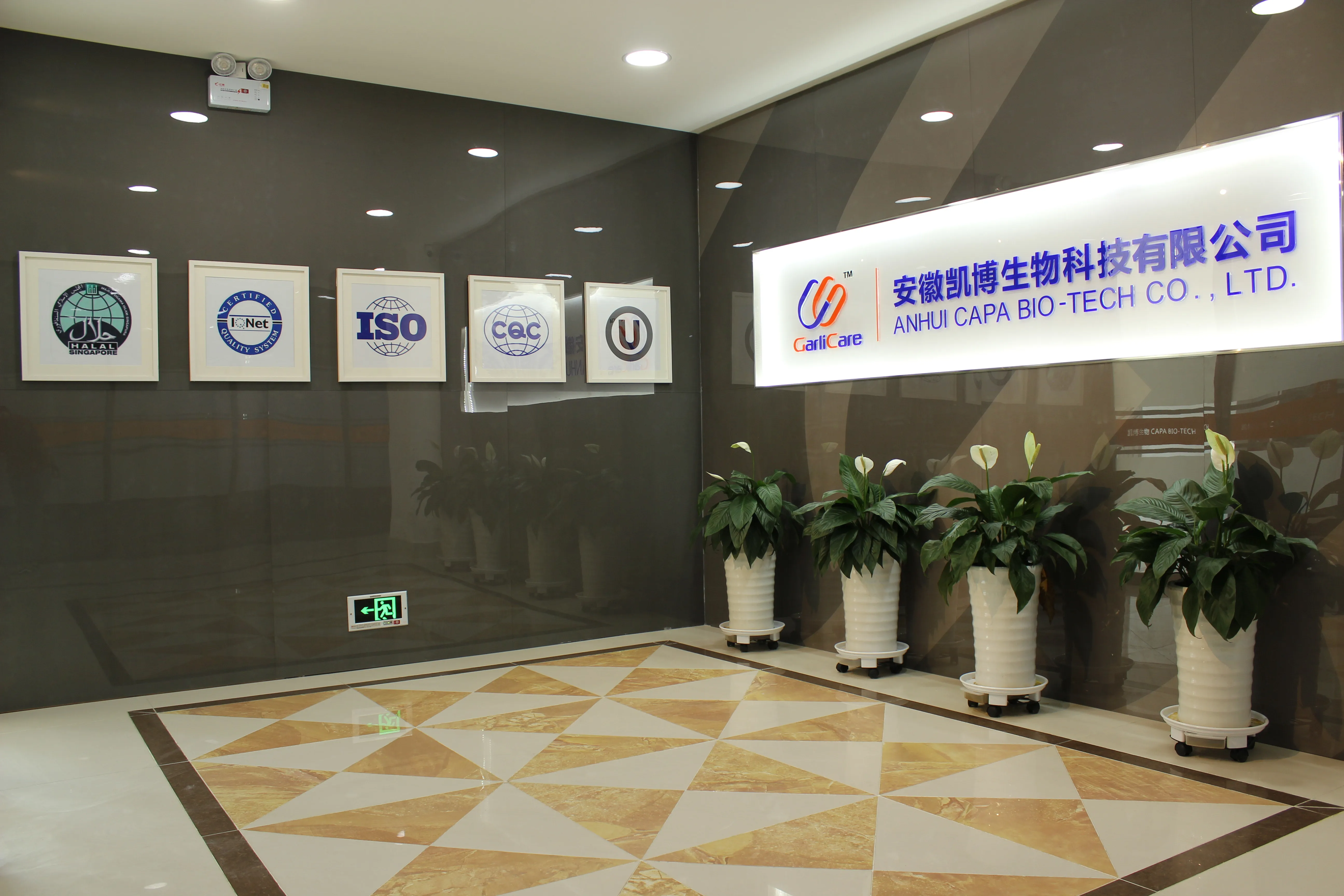 
Professional Manufacturer supply 100% Pure Natural Garlic Oil with favoable price 