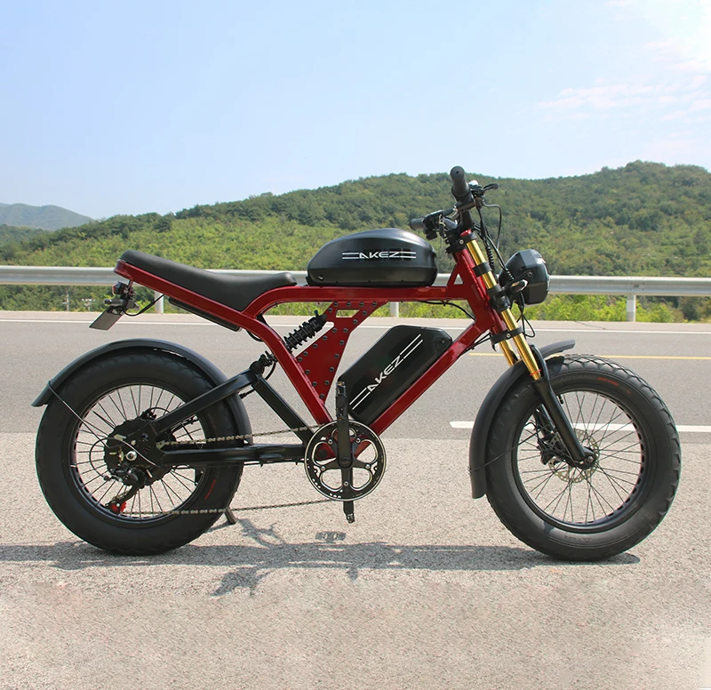 USA warehouse 52V1500W 55Ah 20 inch off road ebike dual battery long range electric motorbikes dirt motorcycle for adults