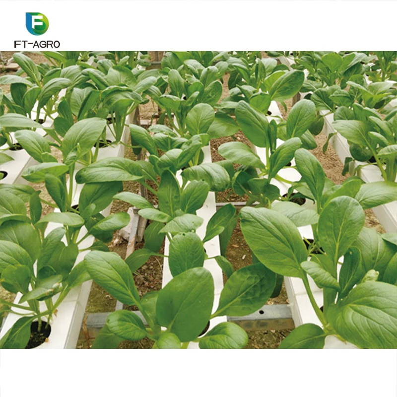 Система гидропонного выращивания растений с листьями для экономии воды