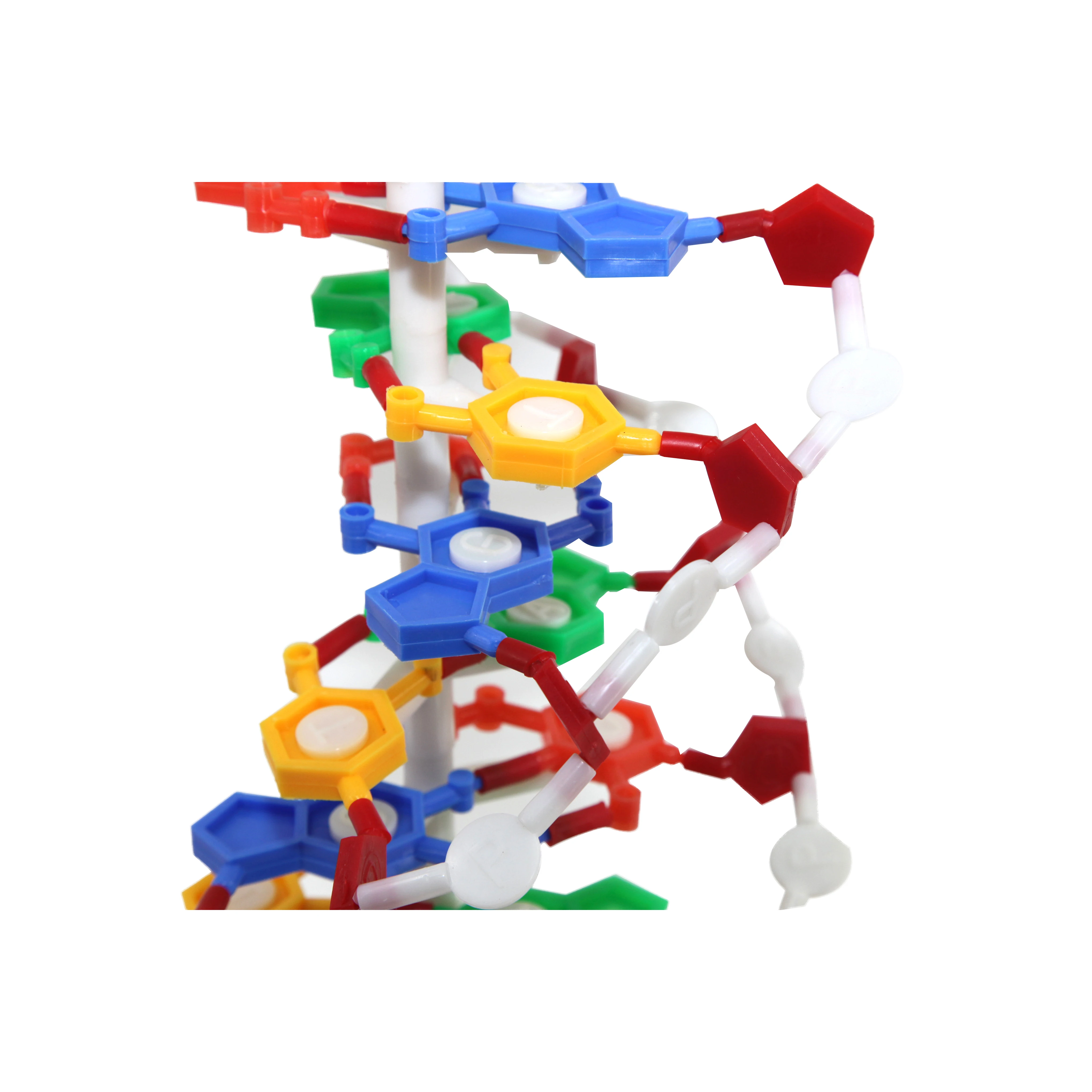 Модель ДНК биология образовательная анатомическая пластиковая ДНК-структура модель медицинская модель