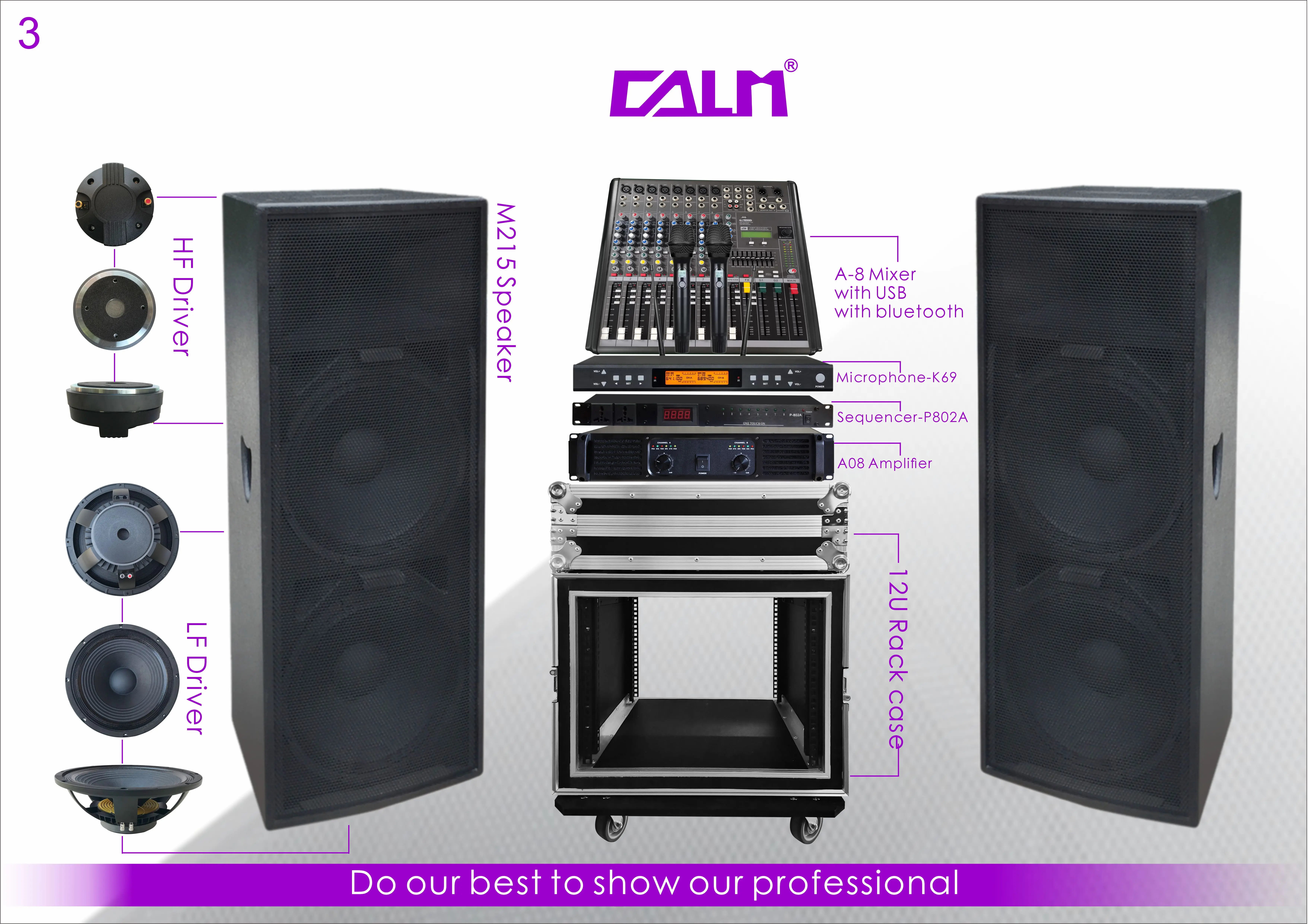 public address system dual 15 inch passive loudspeaker sound speakers for concert Calm  Pro Audio