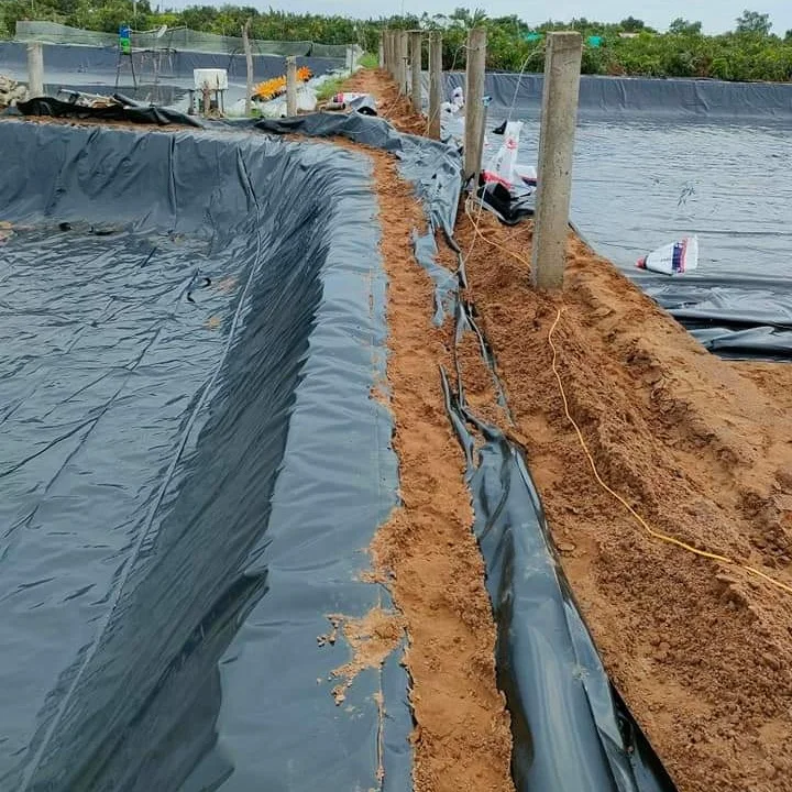 Cheap Price HDPE Geomembrane / Pond Liner  For Biogas / Salt / fish farm / dam / reservoir
