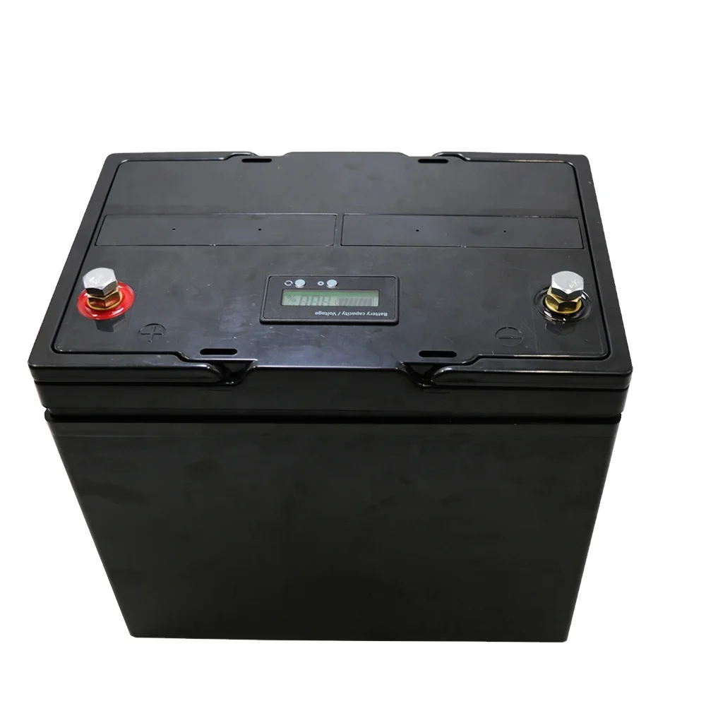 Литий-ионный аккумулятор monopattino Lifeo4 100 Ач 12 Вольт 24