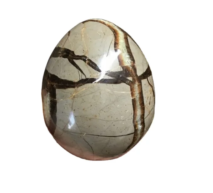 Wholesale natural beetle stone tortoiseshell stones eggs septarium egg for decoration