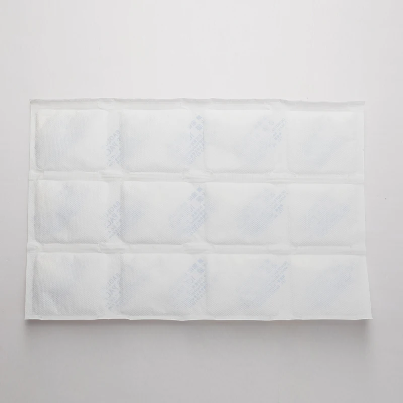 BSG 290*195mm 12pcs in one  Ice Packs For Injuries Disposable Bulk Dry Ice Pack Flexible Ice Pack For Lunch Box