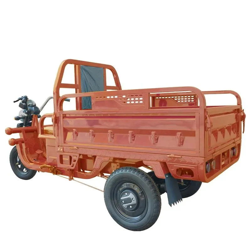 Best Price Electric Cargo Tricycle for Adults with Big Wheel 60v Central Motor Integrated 20ah Battery