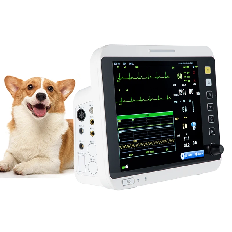 Multiparameter Monitor Veterinary Vet Blood Pressure Monitor Pets Pet Health Monitor