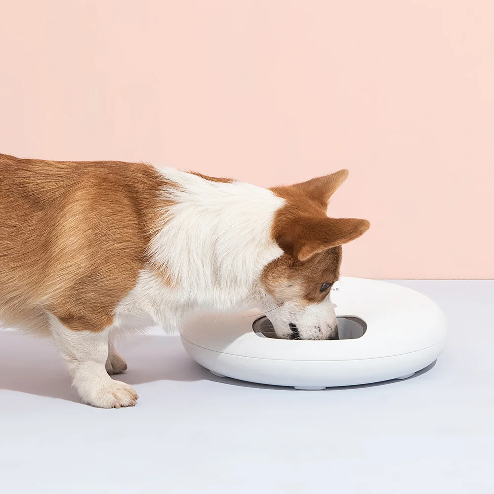 Automatic Pet Feeder (7).jpg