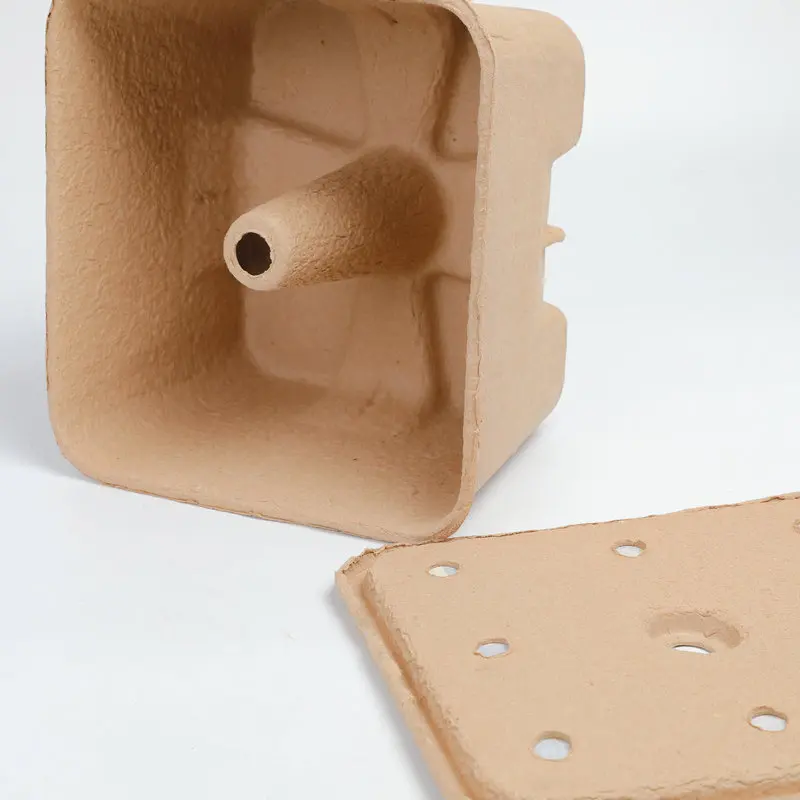 OEM/ODM Custom Biodegradable Sugarcane Pulp Tray Recyclable Fine Quality Paper Box Food Compostable Protection Factory