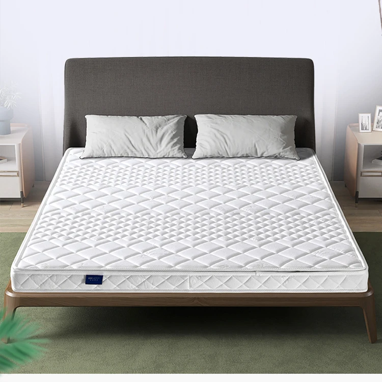 
FEIFAN Modern Folding Foam Mattress Coir Double Single King Size Bed Sponge Thin Foam Foldable Mattress 