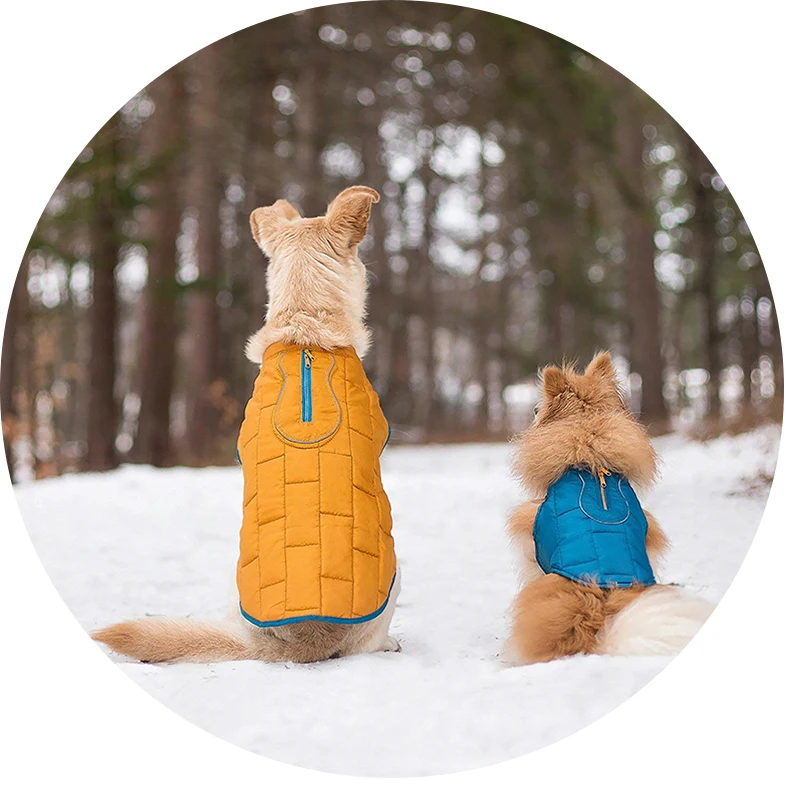 Wholesale Manufacturer Lovable Dogs Coat Winter Pet Accessories Jackets Outerwears Animal All Seasons Dog Clothes Pet Apparel