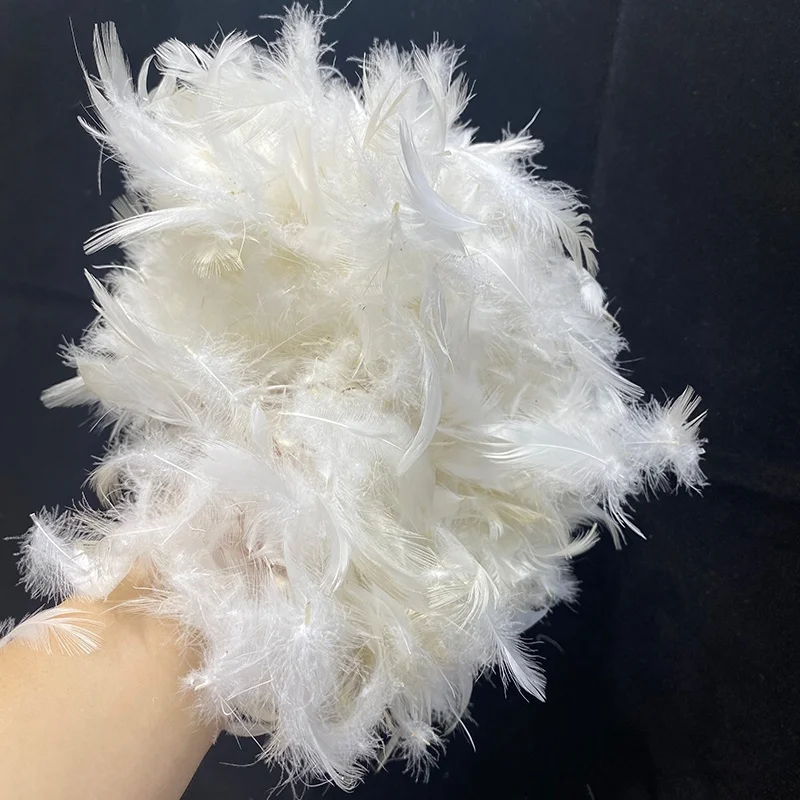 Multi-channel Washing Process to Wash Pure White Natural White Duck  Feather for Cheap Sale