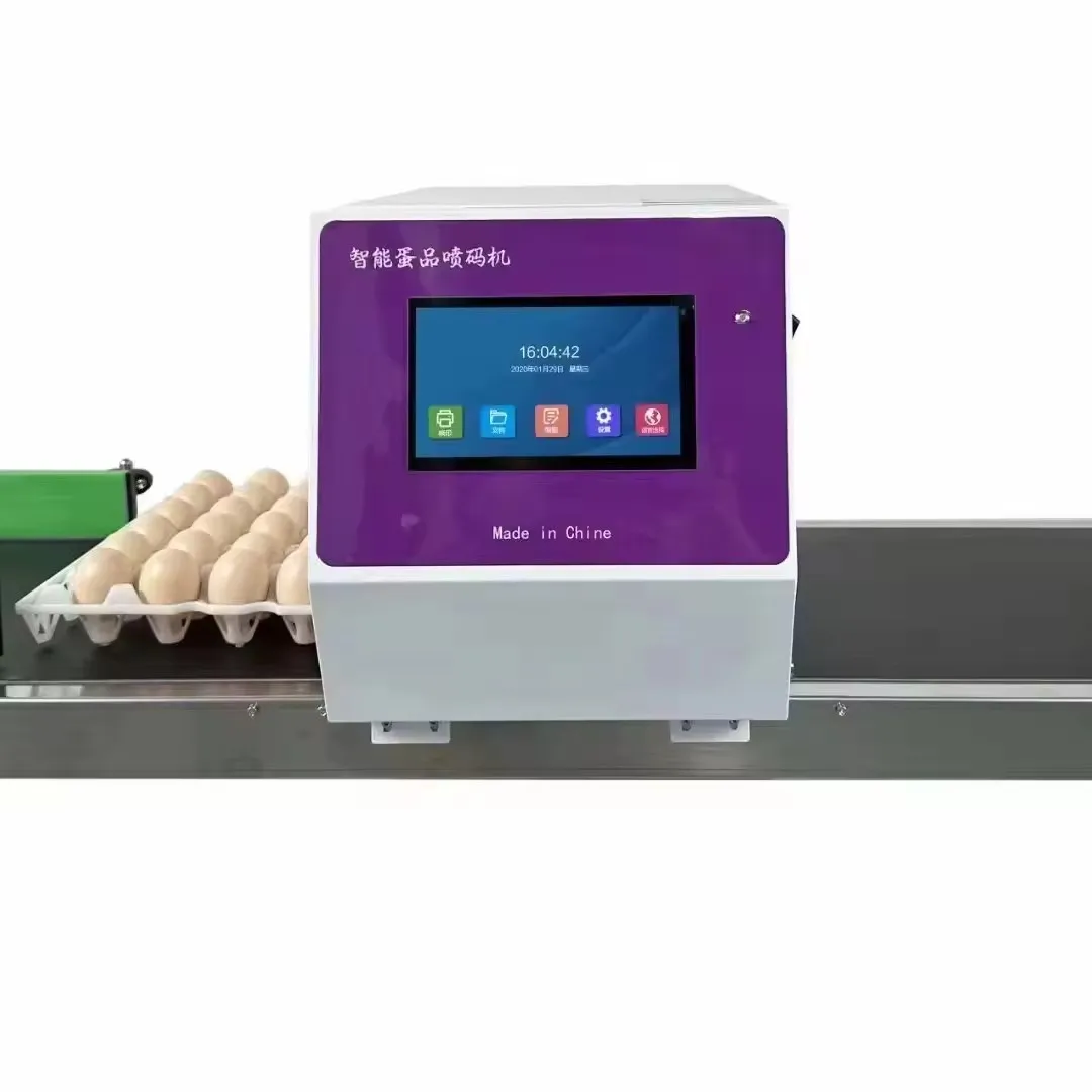 High Quality Automatic Tij Printer Egg Inkjet Machine for Continuous Coding Expiration Date Egg Stamping Inkjet Marking Machine