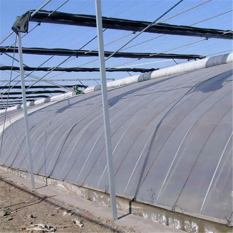 Солнечная теплица с задней стенкой для холодной погоды для выращивания овощей, Китай
