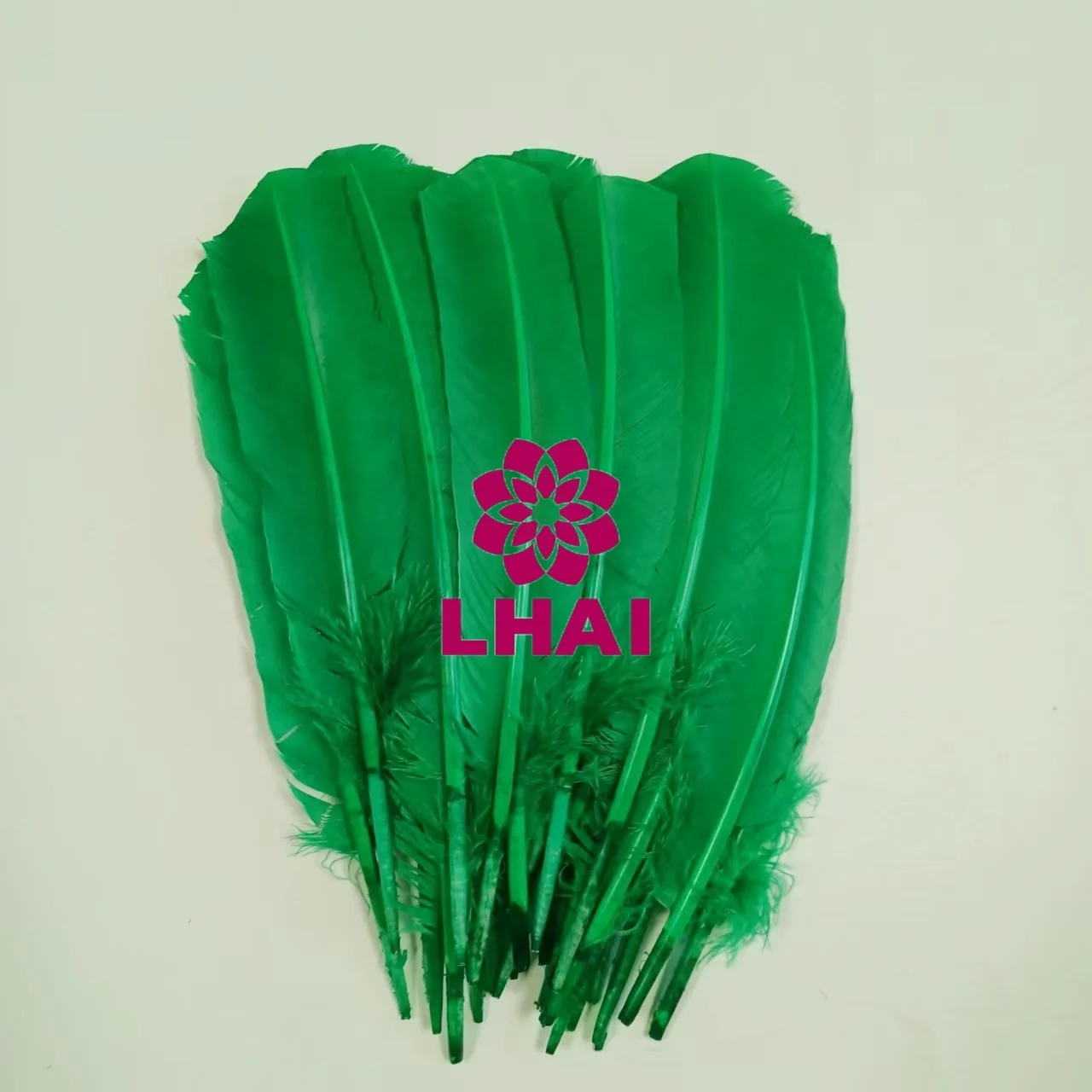 Wholesale 25-30 cm 10-12 Inch Multicolour Turkey Quills Feathers For DIY Craft Decor Costumes Accessories