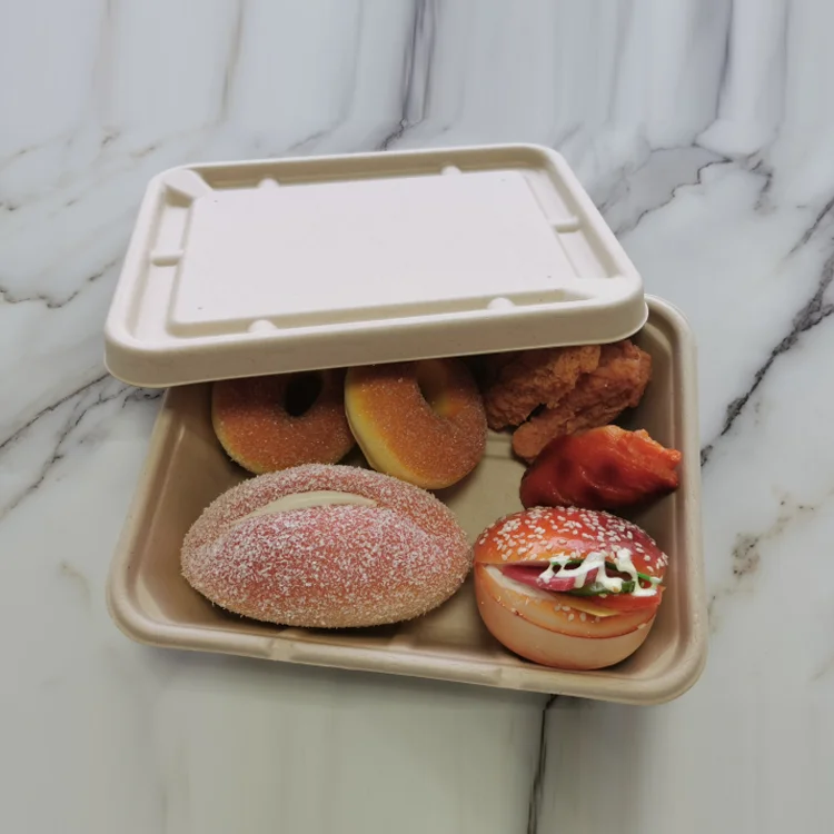 Lz- FH08 еда контейнер изолированный многоразовый биоразлагаемый компостированный Sugarcane Bagasse Box