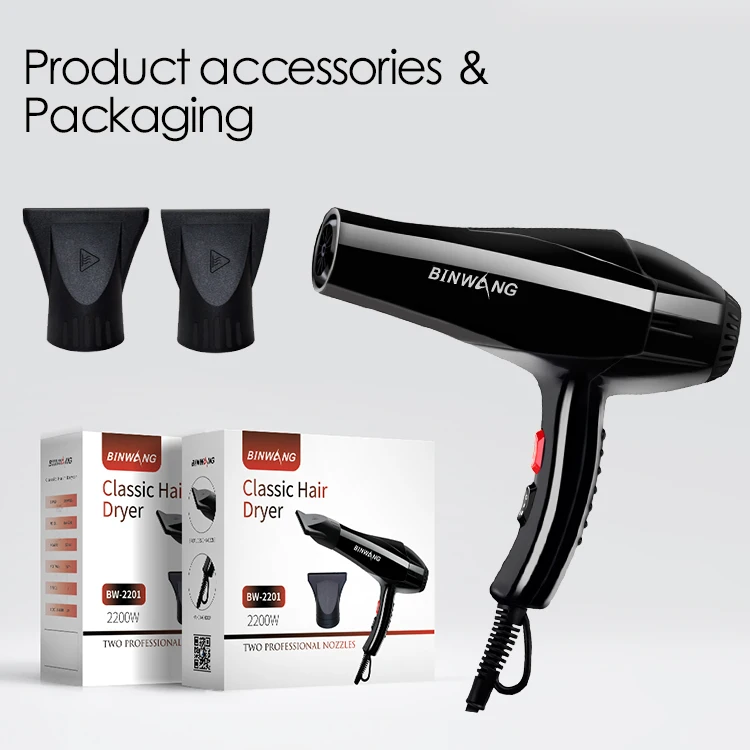 Professional 2200Watt High-Speed Salon Hair Dryer Portable Negative Ion Blower OEM Brand Ionic for Home Travel