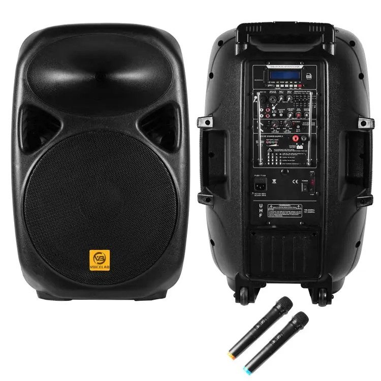 ELF15-BM100P2U7 портативная студийная Power Pro аудио активный DJ динамик