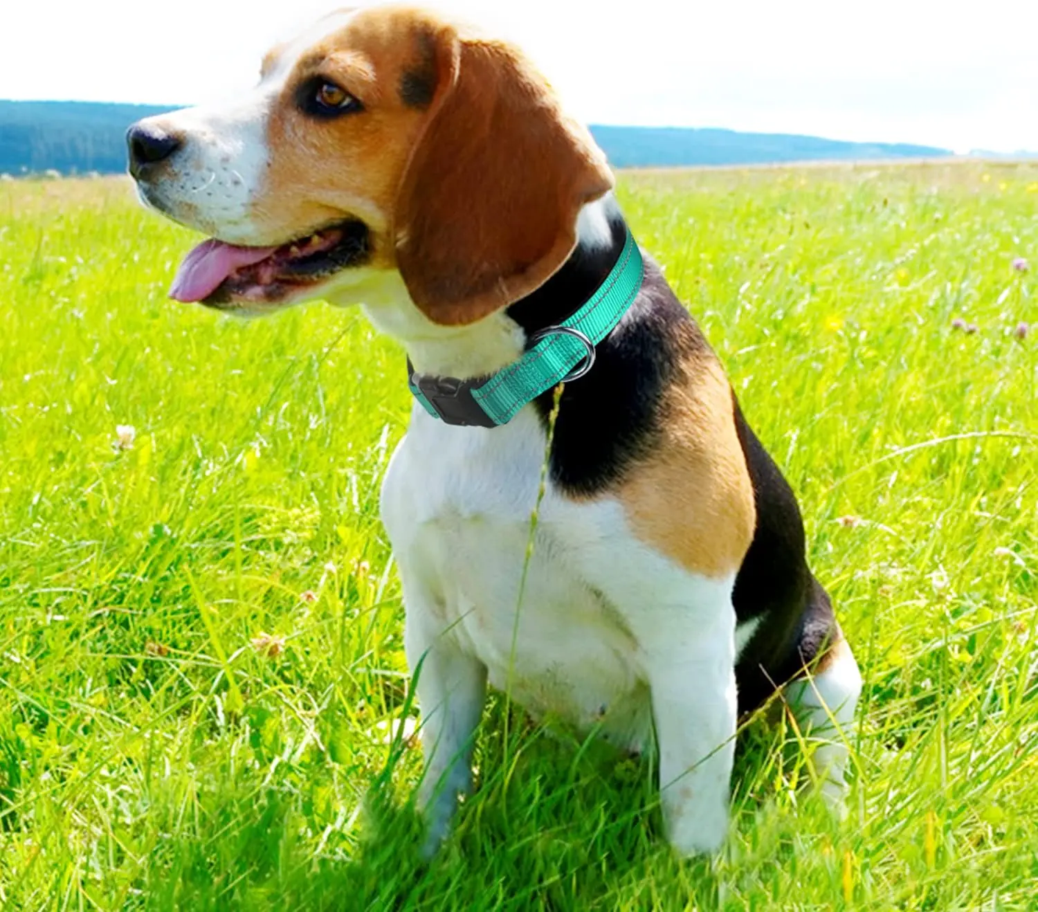 Adjustable Soft Neoprene Padded Breathable Nylon Reflective Pet Dog Collar Suitable For Small, Medium, Large dogs