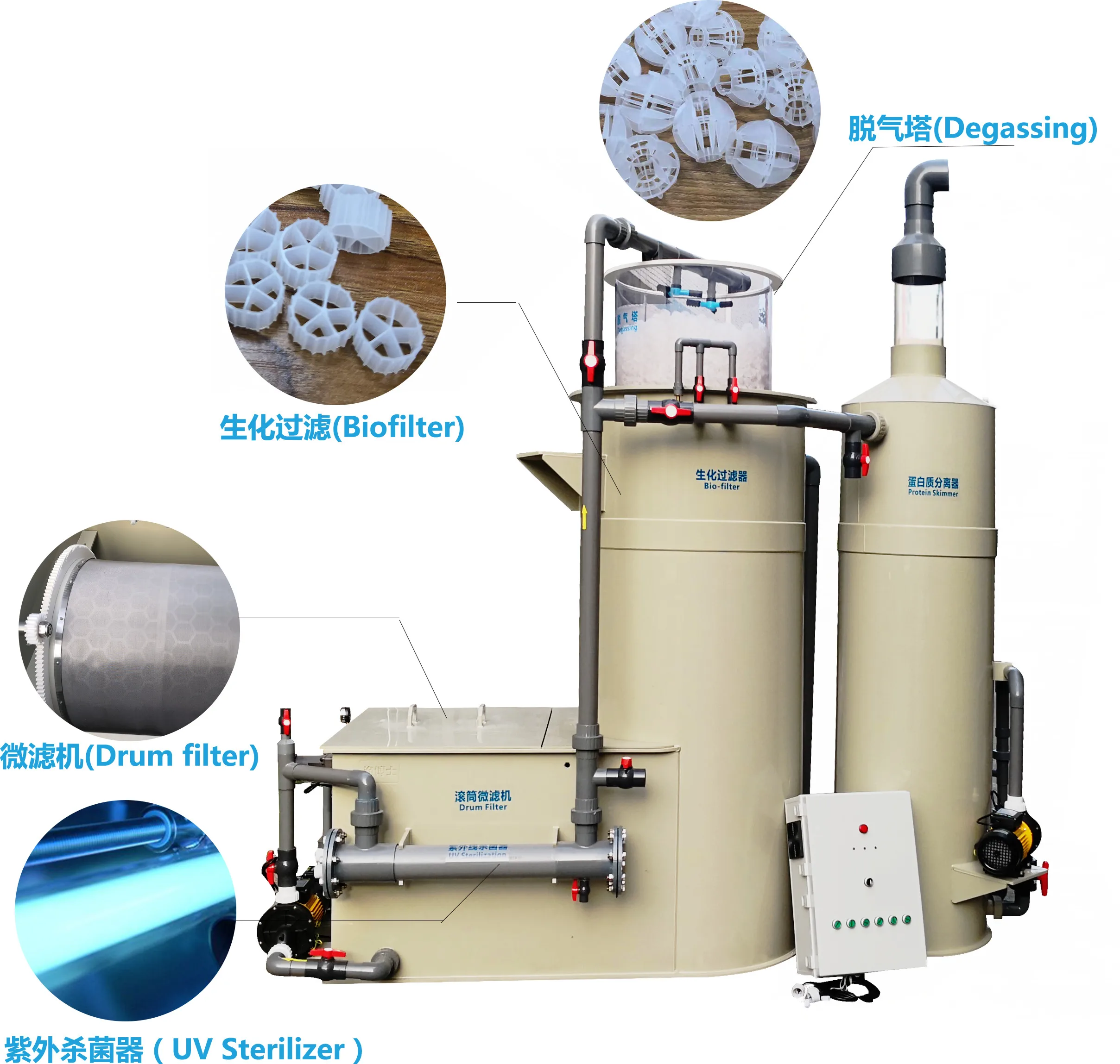 Sea bass nursery culture indoor/landbase  recirculating aquaculture system