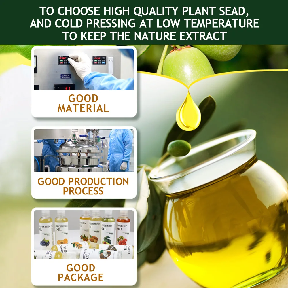 100% Pure Essential Oil Plant Castor Hair Care Coconut Olive Jojoba Oil Massage Oil Raw Material