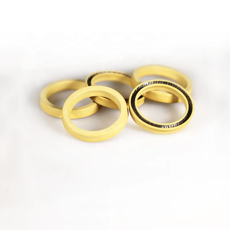 PEEK PTFE carbon UPE Spring Energized Seals