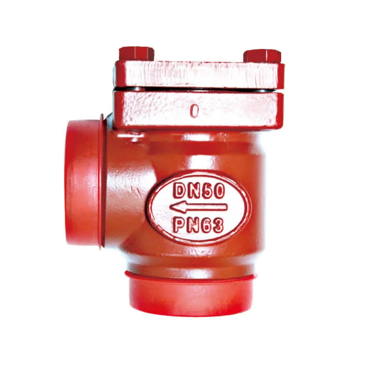 Ammonia Freon CO2 Refrigeration Regulating Check Valve