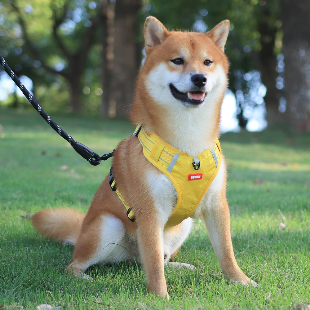 Factory Reflective Dog Harness Mesh Padded Pet Vest Large Adjustable Dog Harness for Pet