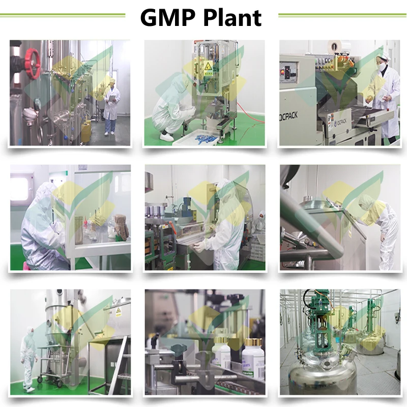 Produce meidum molecular weight Sodium Hyaluronate powder