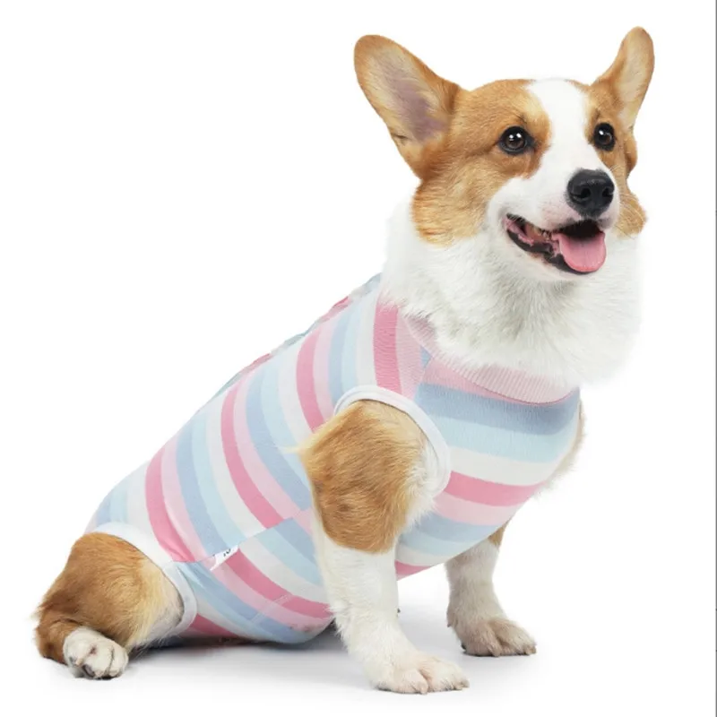 wholesale Pets bite post operative shirt puppy surgical pajamas bodysuit for dogs Neutering Post-weaning Care costume new 2024