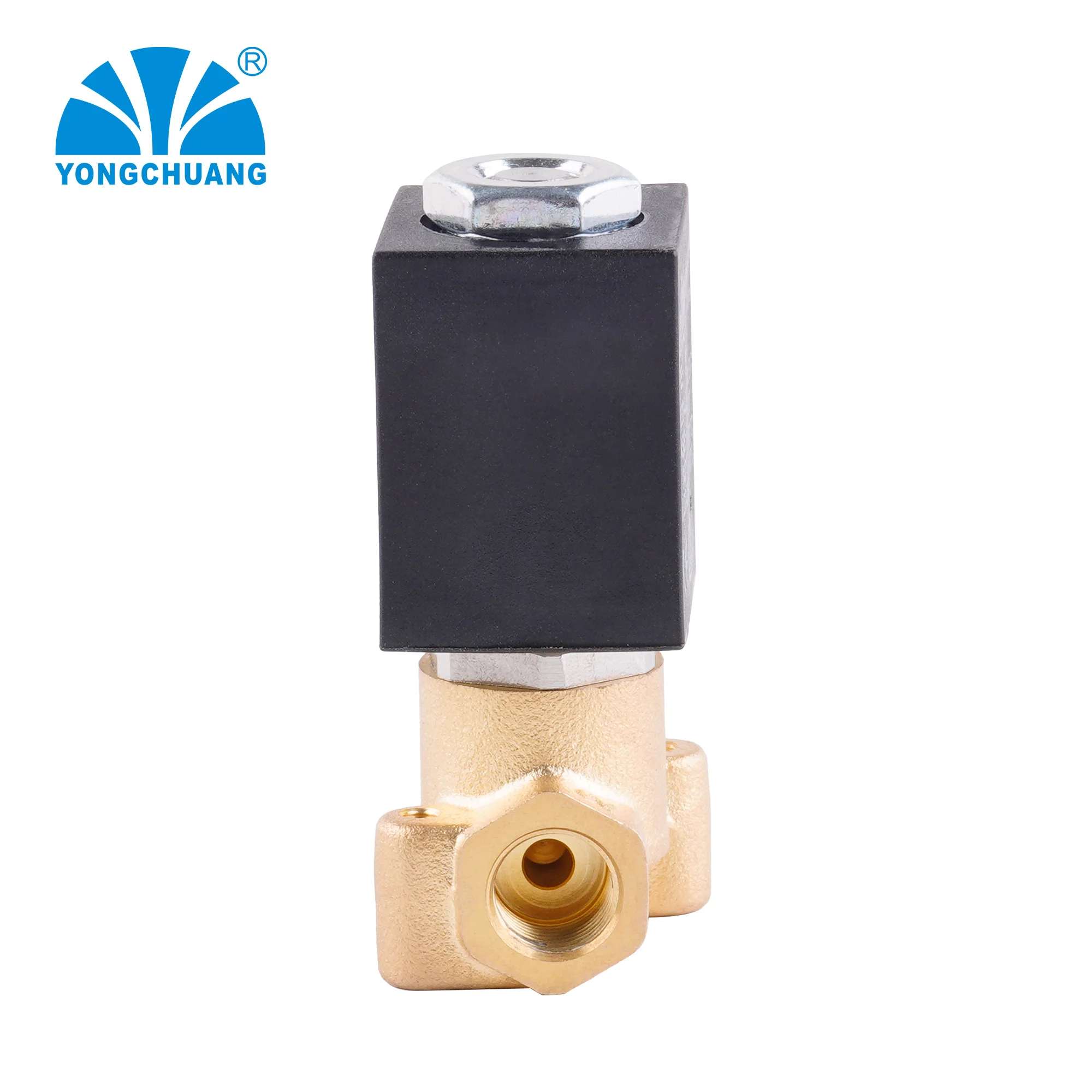 yongchuang 2 way ruby seal small compact coffee machine brass steam solenoid valve ac220v