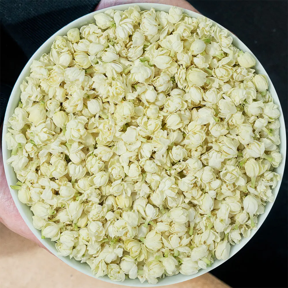 Loose jasmine dried flowers Guangxi Hengxian Jasmine tea new flower pieces bud manufacturers direct sales