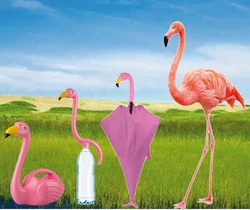 2021 современный уникальный дизайн зонт для полива сада Фламинго подарки патент № CN2015303997614