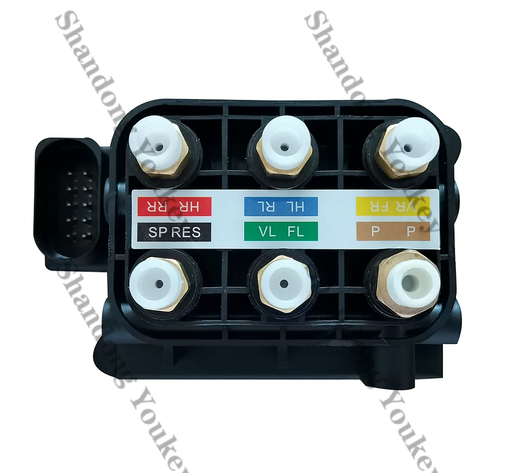 Air suspension type Distribution egr Valve for Mercedes-Benz 211 2015-2018 2123200358 2513200058 A2513200058 A2123200358