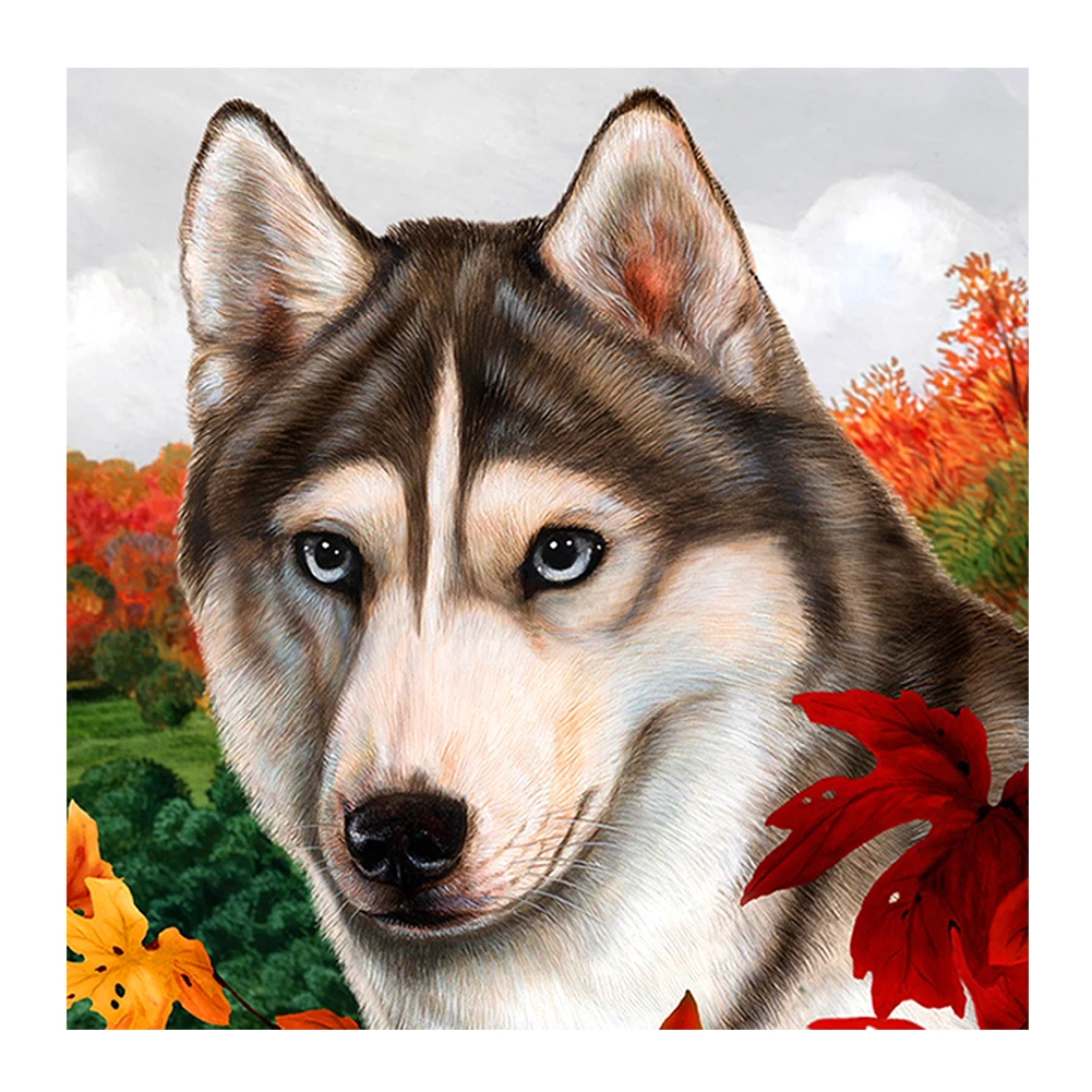 2021 Factory Wholesale Cheap Full Drill Diy Special Diamond Painting Wolf Kids Room Decoration