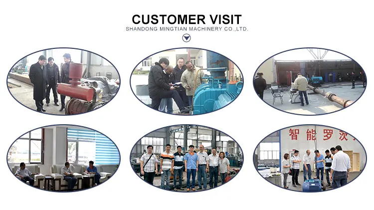 Company Information P3.jpg