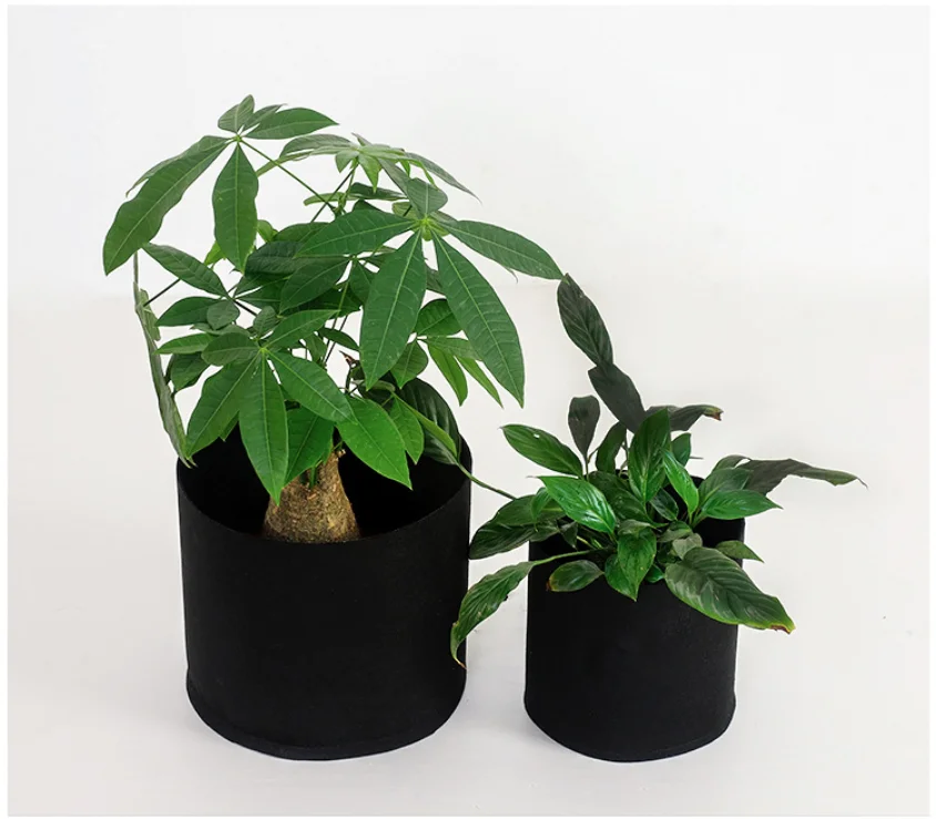 Non-woven fabric felt grow bags planting bags