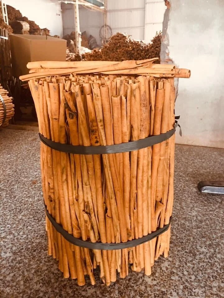 Wholesale cinnamon powder whole cinnamon roll spicies cassia pressed Dried from vietnam
