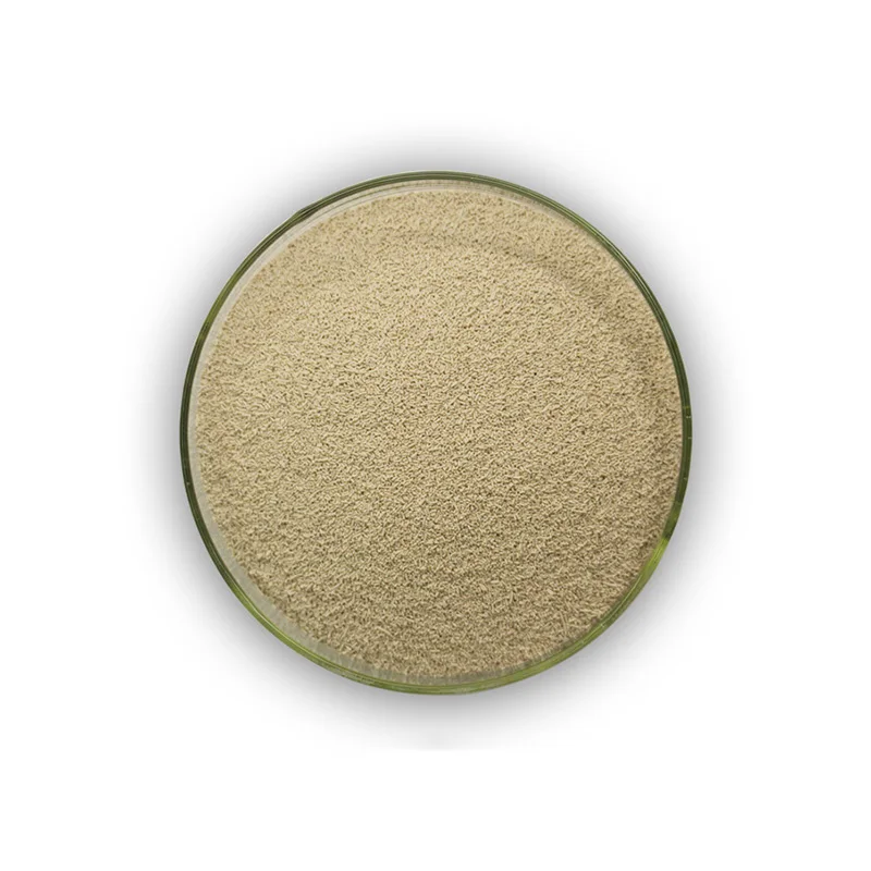 100% Pure Brewers Yeast Powder Saccharomyces Cerevisiae Price Feed Yeast