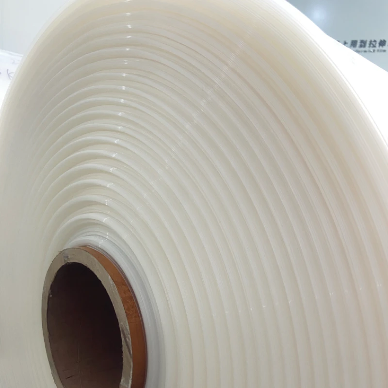 Changxi Factory PA PE Flexible Packaging 7 Layer High Barrier Thermoforming Films