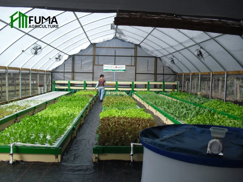 Низкая цена сельское хозяйство системы aquaponics коммерческая теплица с умным стеклом для продажи